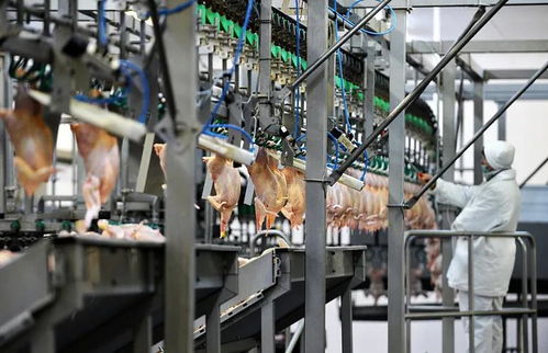 萬華助力泰森食品 以專業設計，筑就世界級肉類加工新標桿